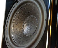 BMR woofer close2