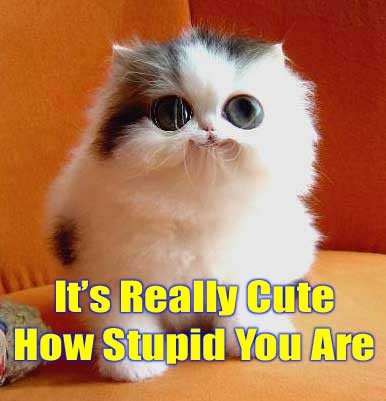 Its really cute how stupid you are...