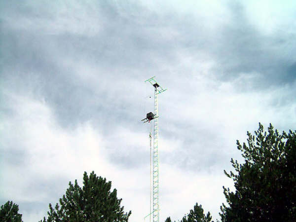 Pole+1