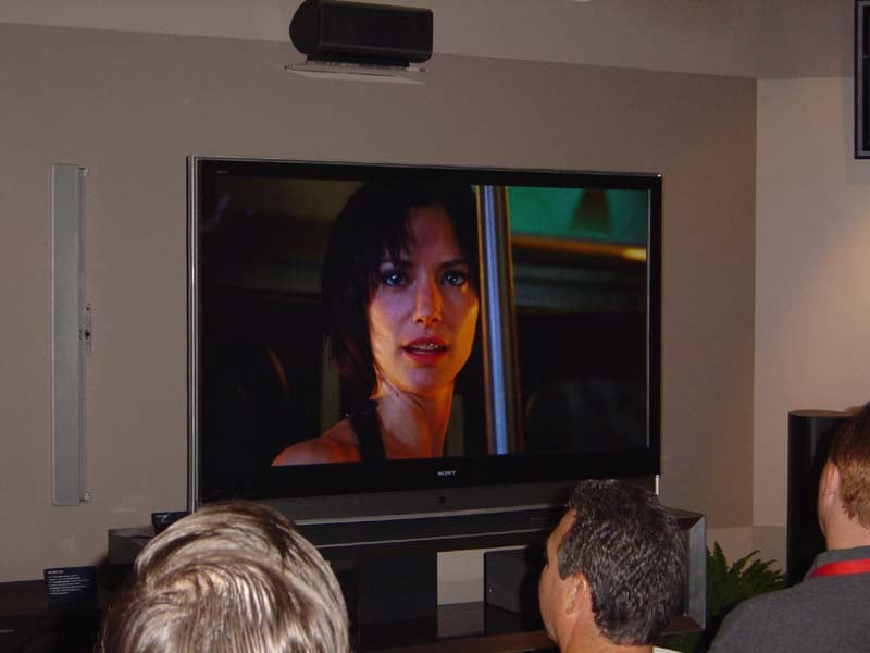 dsc01615_lg.jpg