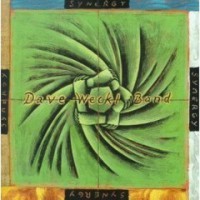 Dave Weckl Band: Synergy (1999)