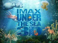 IMAX Under the Sea 3D