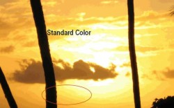 [standardcolor]