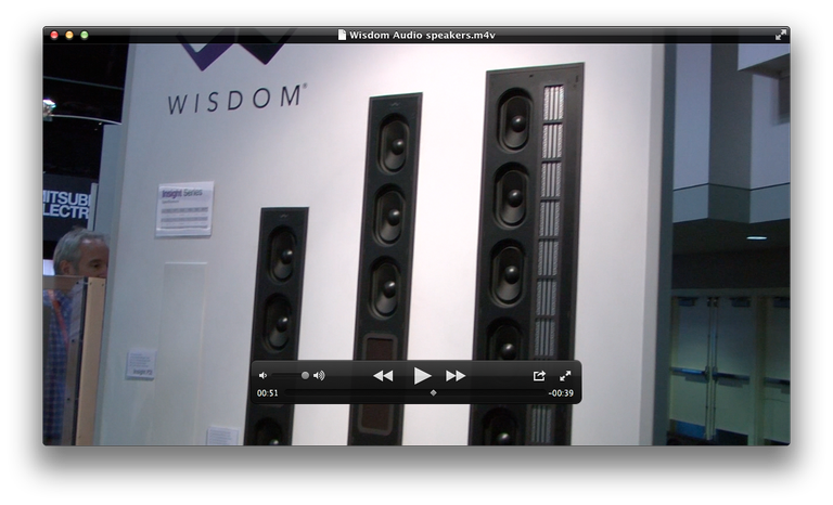 Wisdom Audio Insight Series InWall Speakers
