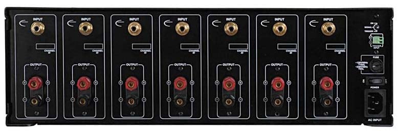 IPS-1back.jpg