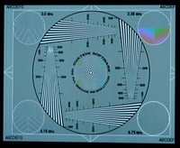 VtPC_composite.JPG