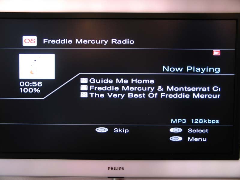 freddie.jpg