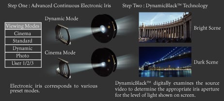 dual-iris.jpg
