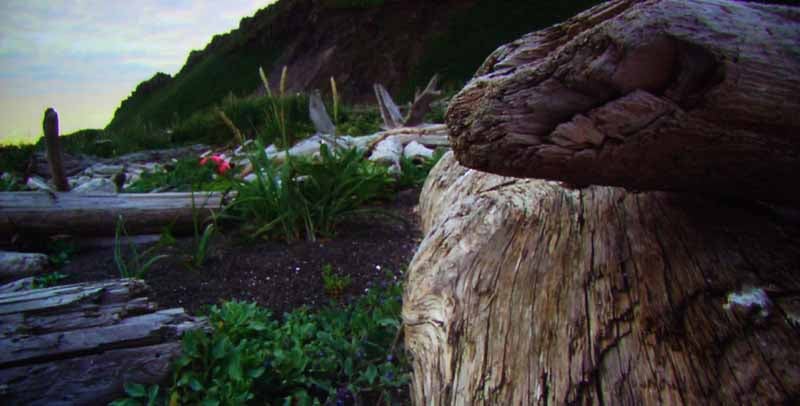 DiscoveryHD4.jpg