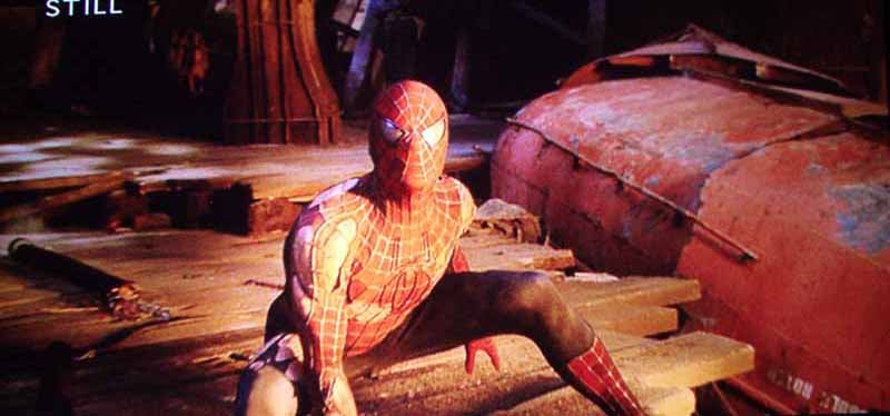 Epson-810HQV-Spider1.jpg