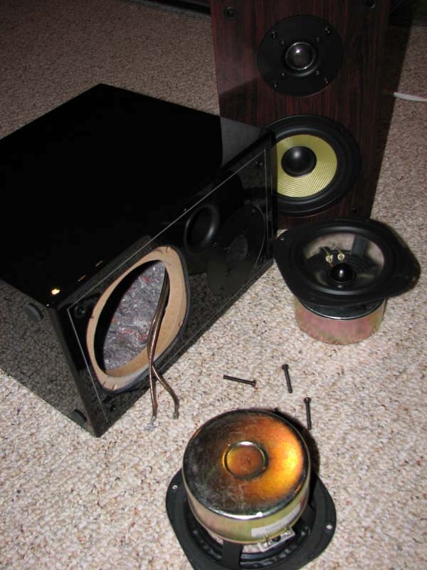 Usher+Speaker