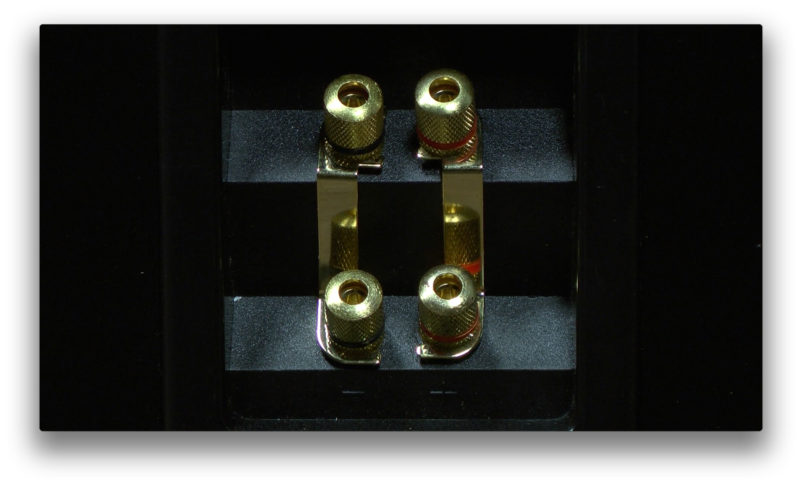 gold+binding+posts