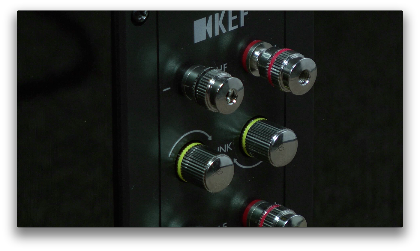 biamp+terminals
