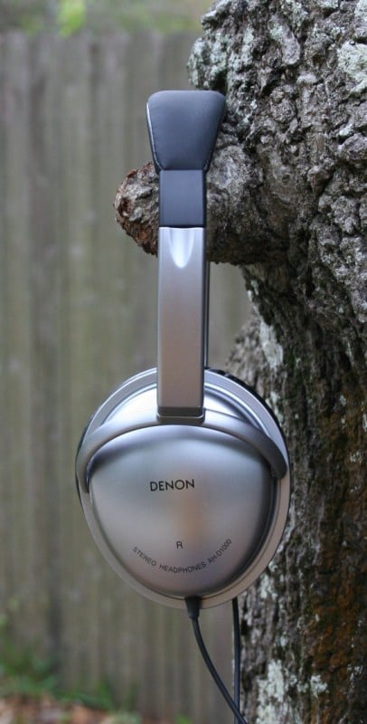 AH-D1000_tree.JPG