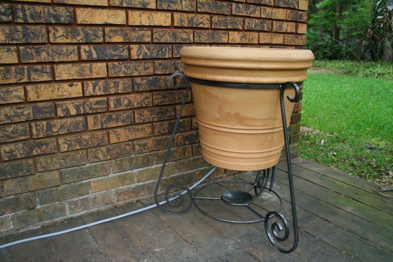 PlanterSpeakers_onwall.JPG