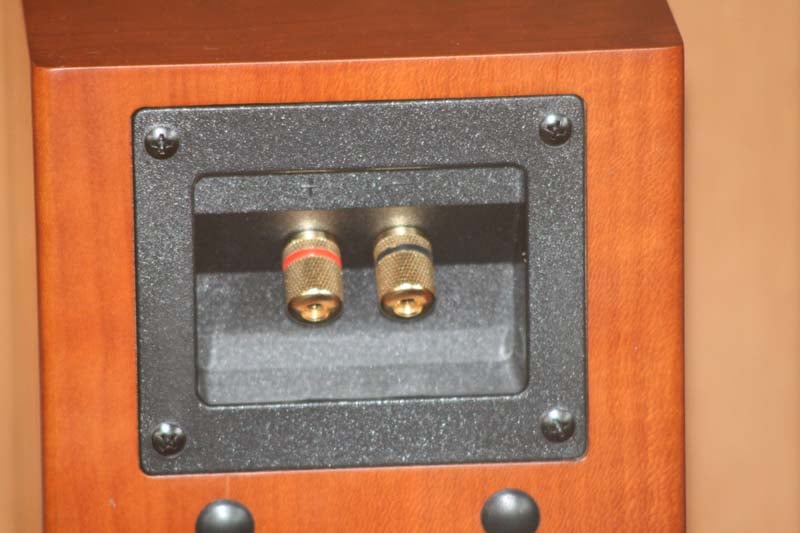 Intimus-4B-posts.jpg