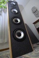 Audiologic Schumakubins Loudspeaker Review