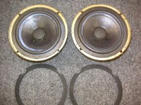 JBL Pro III Woofers Foam Sealer Applied.JPG