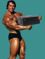Arnold carrying amp2.jpg
