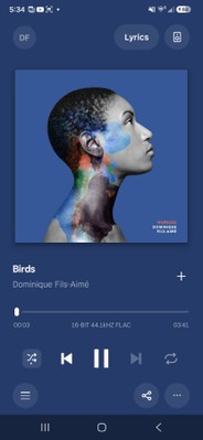Birds