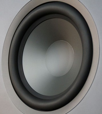 1610 woofer cone