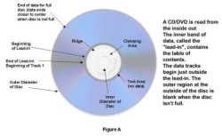 CD and DVD Longevity: How Long Will They Last?