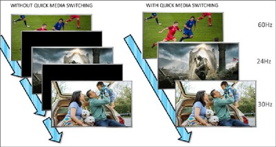 HDMI Quick Media Switching.jpg