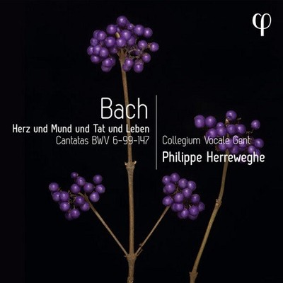 Bach Herz und Mund und Tat und Leben