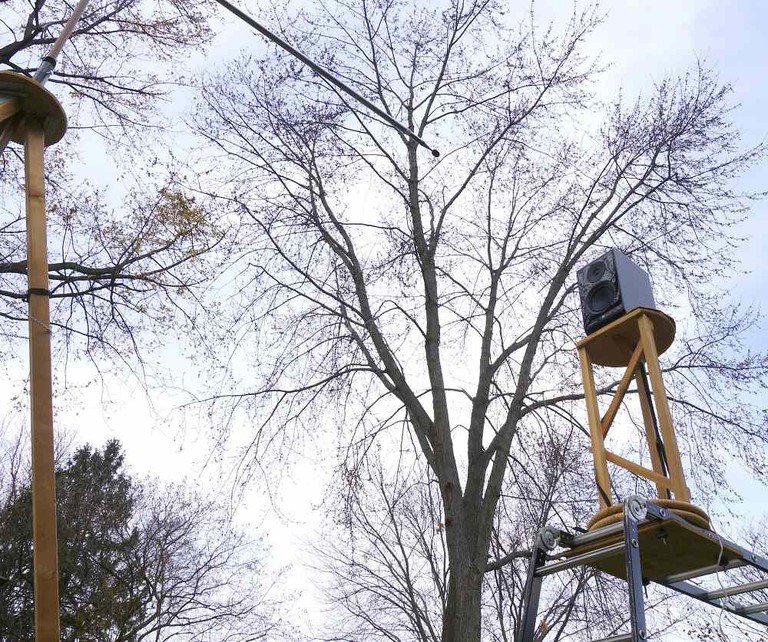 NS800 outside testing2