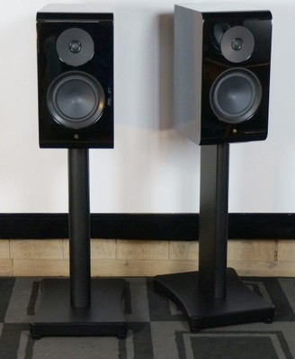 NS800 pair9