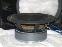 BMR woofer exposed3