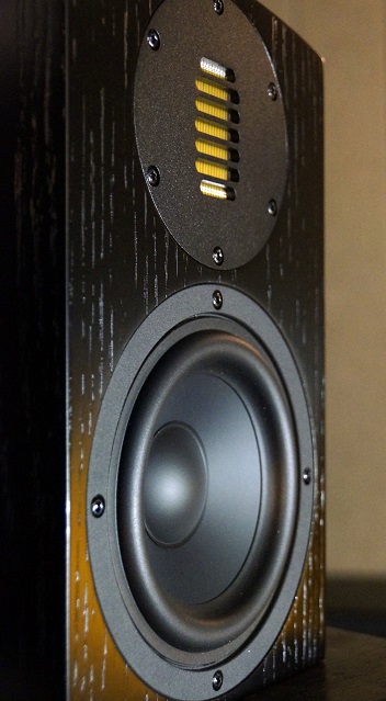 100 watt bookshelf speakers