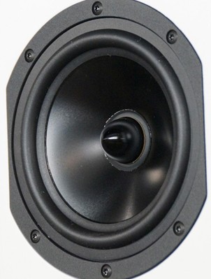 55ir woofer cone