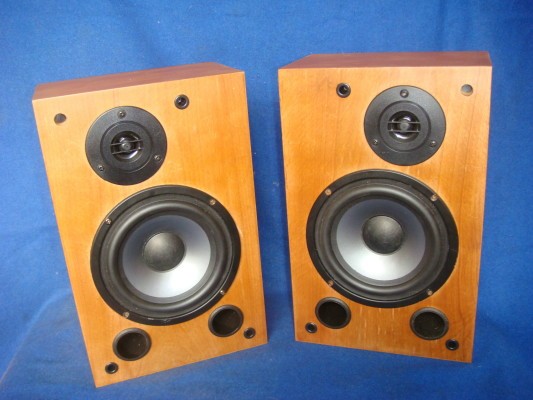 Trends Audio SA-10/R Speaker Preview