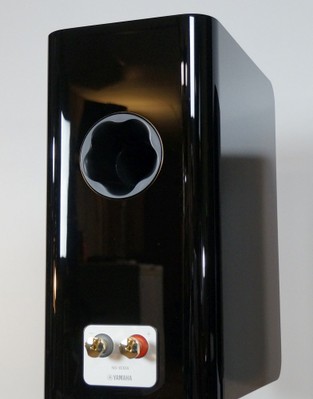 NS800 rear3
