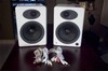 Audioengine A5 Powered Speaker System Review