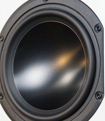 M6 woofer
