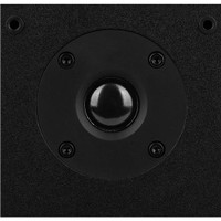 Dayton MK402BT bluetooth speaker tweeter