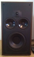 Polk10B