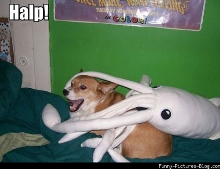 AV Tip: Where to Look for Home Theater Help 