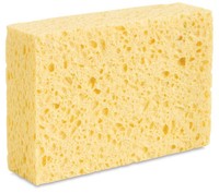 sponge.jpg