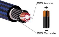 Audioquest DBS System