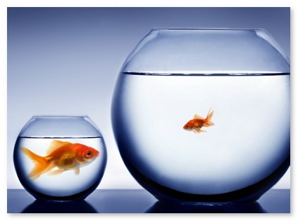 Smoke and Mirrors and Upgraditus