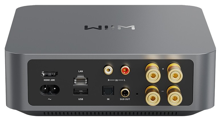 WiiM Amp rear