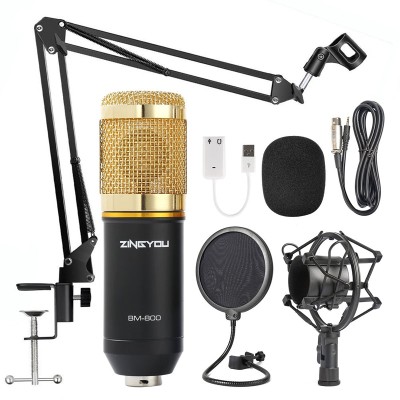 ZingYou BM-800 mic kit