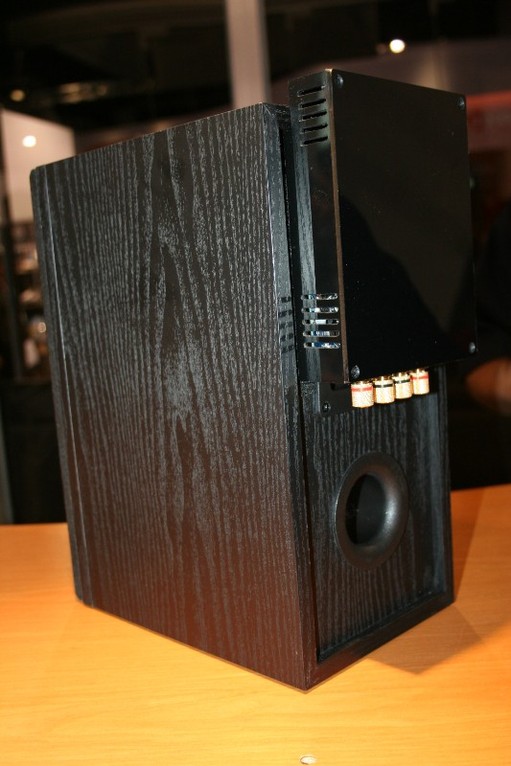 Radiient Roomcaster Preview