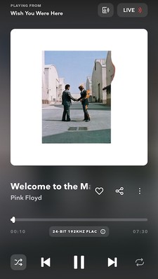 Pink Floyd—Wish You Were Here