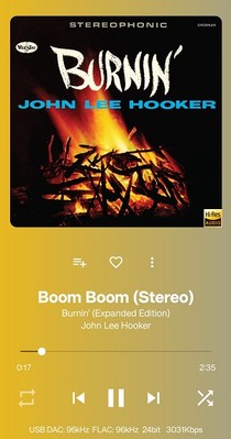 Hi-Res John Lee Hooker Blues