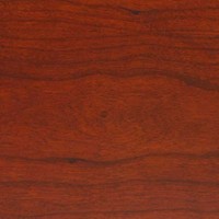 Studiotech-DP-2-rosewood.jpg