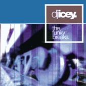 DJ Icey: The Funky Breaks